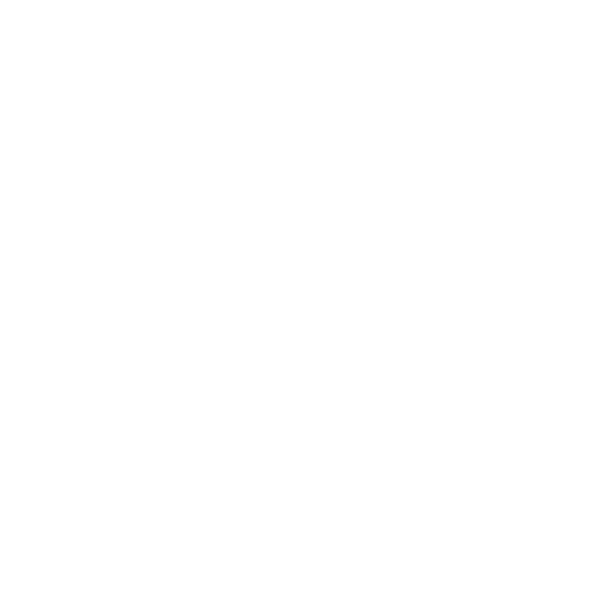 Social icon 3