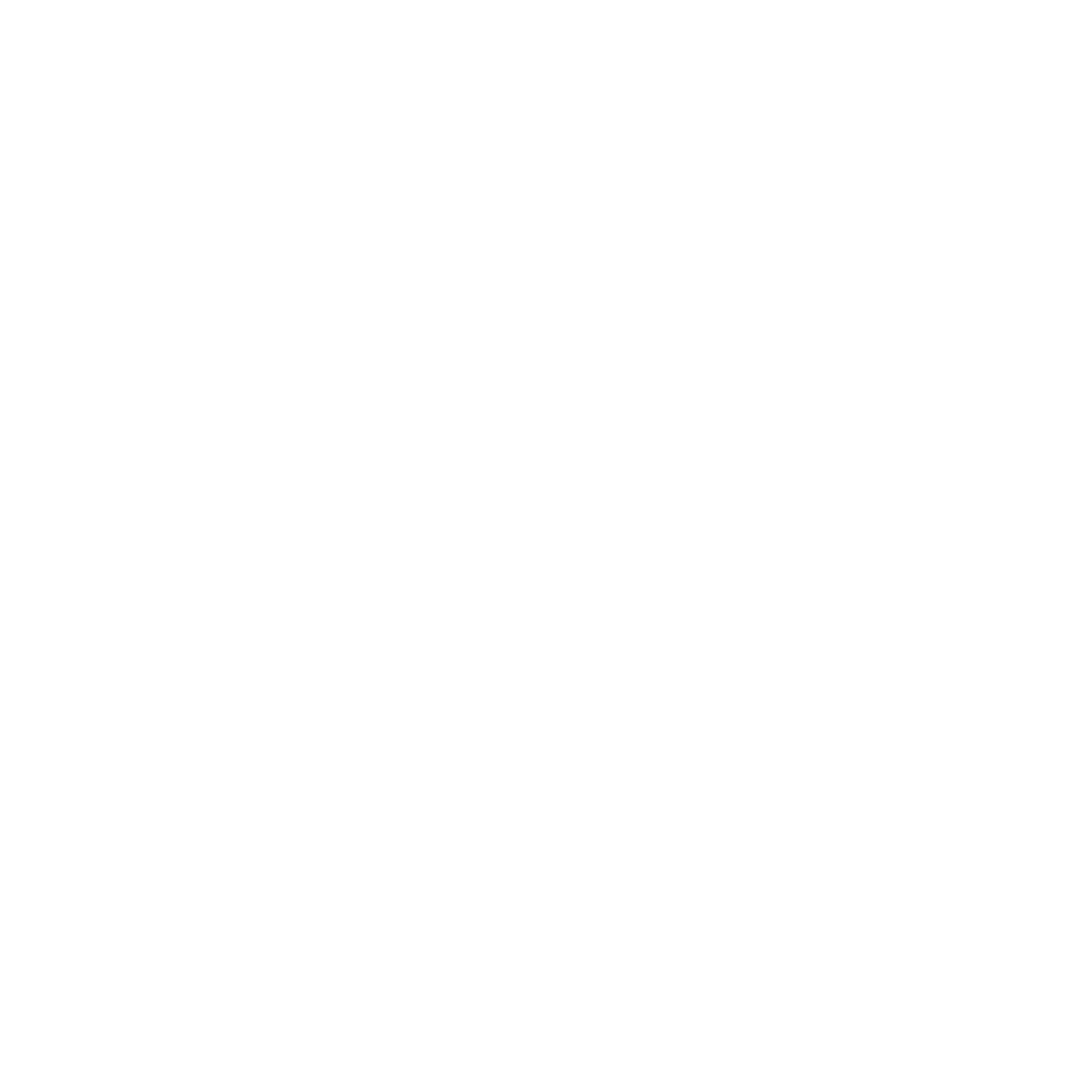 Social icon 2