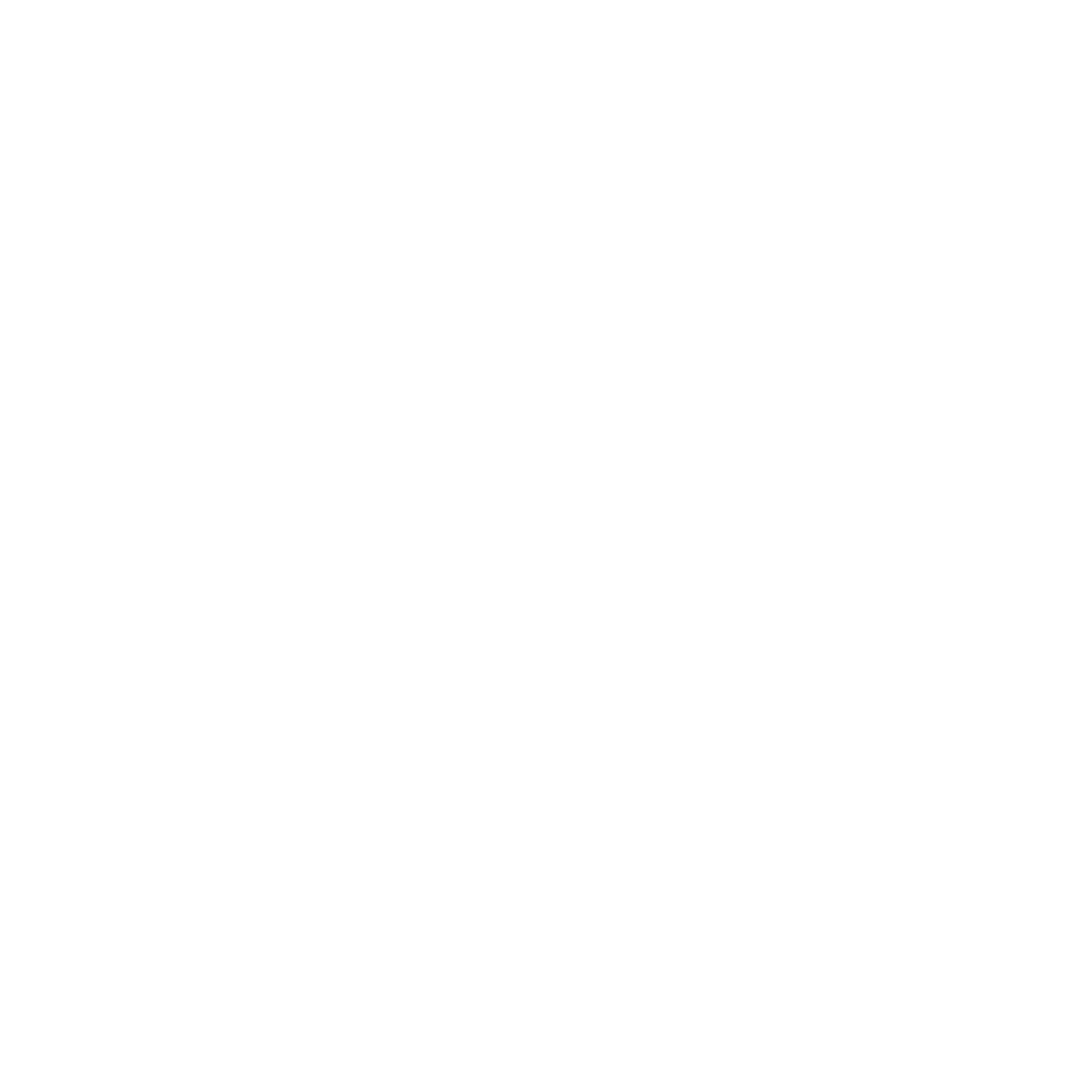 Social icon 1