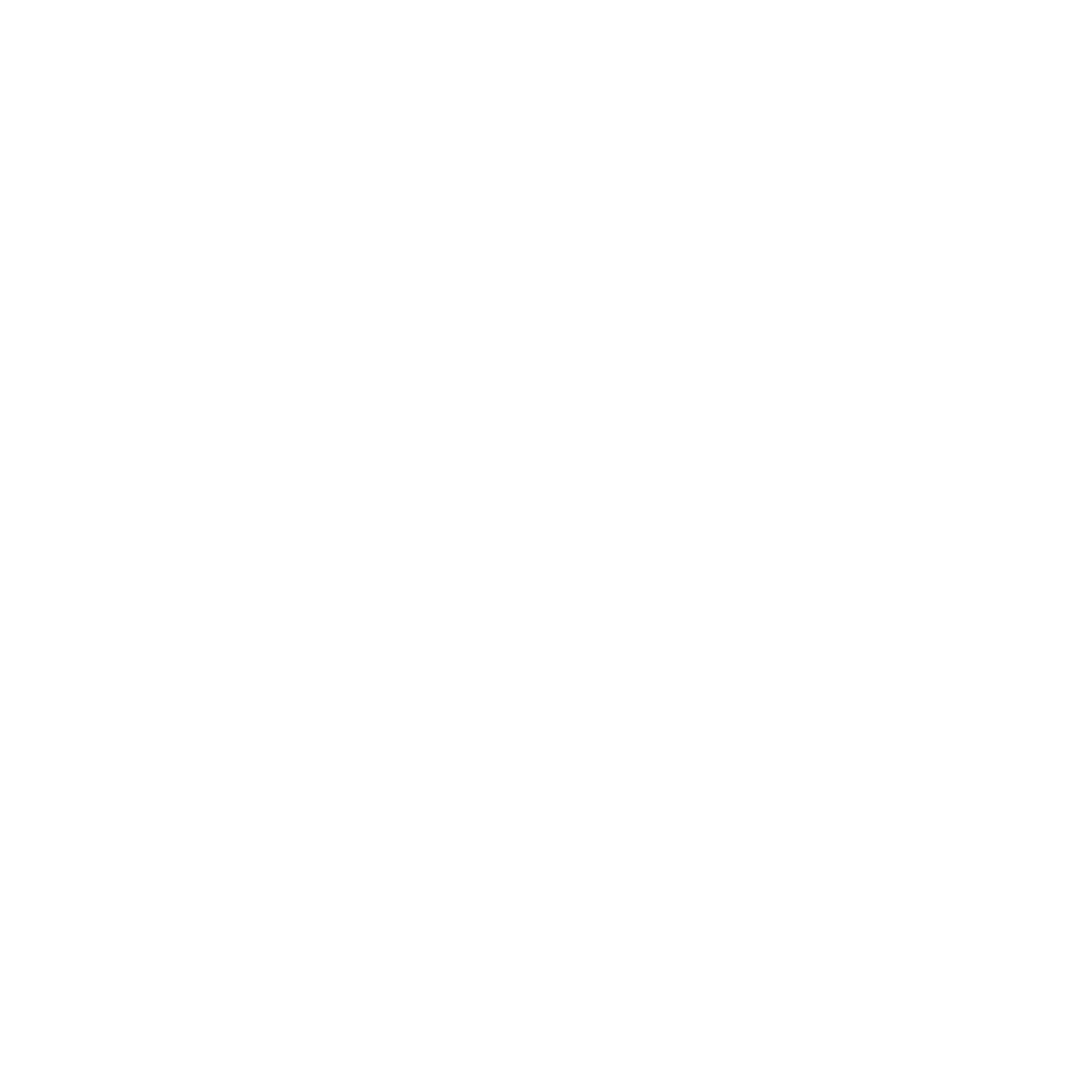 Social icon 3